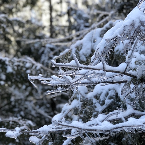 Meet your Posher, Megan - Picture 2 of 2